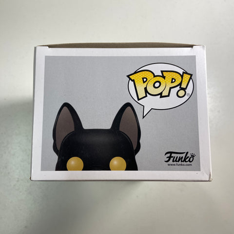 Harry Potter - Sirius Black as Dog (Flocked) Funko Pop 73 Hot Topic Exclusive