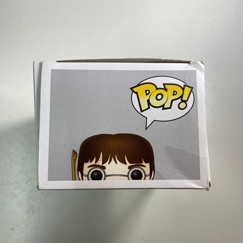Harry Potter - Funko Pop 09