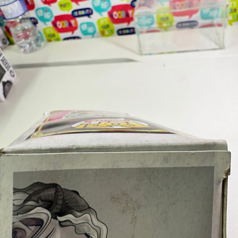 WATER BOX DAMAGE Aughra - The Dark Crystal Funko Pop 341 Vinyl Figure (11.4 Cm L × 8.9 Cm W × 15.9 Cm H)