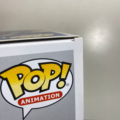 Coraline in Raincoat (Diamond) - Coraline Funko Pop 423 Hot Topic Exclusive