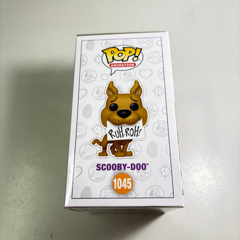 BOX FLAWS VIEW PHOTOS Scooby-Doo Ruh-Oh Funko Pop 1045 Vinyl Figure Exclusive