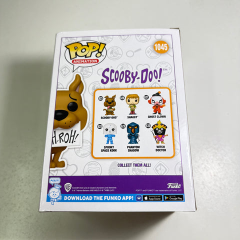 BOX FLAWS VIEW PHOTOS Scooby-Doo Ruh-Oh Funko Pop 1045 Vinyl Figure Exclusive