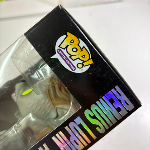 BOX FLAWS VIEW PHOTOS Remus Lupin as Werewolf - Harry Potter Funko Pop 201 Vinyl Figure (11.4 Cm L × 8.9 Cm W × 15.9 Cm H)