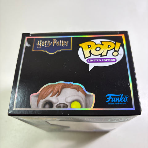 BOX FLAWS VIEW PHOTOS Remus Lupin as Werewolf - Harry Potter Funko Pop 201 Vinyl Figure (11.4 Cm L × 8.9 Cm W × 15.9 Cm H)