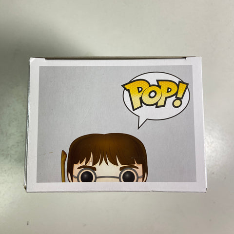 Harry Potter - Funko Pop 08