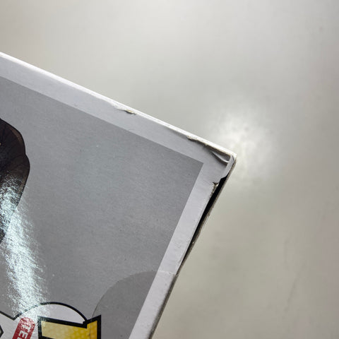 The 100 - Raven Funko Pop 441