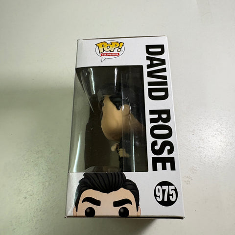 David Rose - Schitt's Creek Funko Pop 975 Vinyl Figure (11.4 Cm L × 8.9 Cm W × 15.9 Cm H)