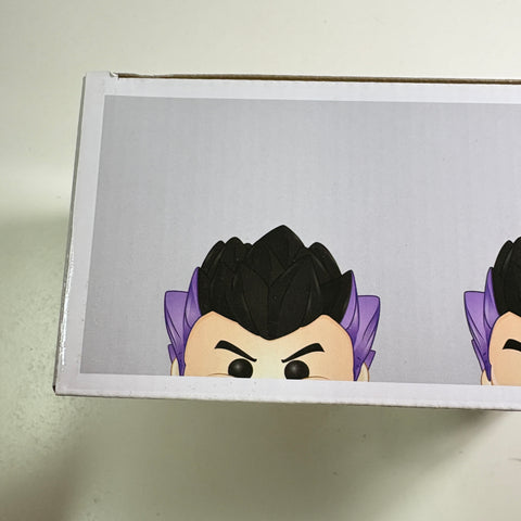 Dragon Ball Z - Gotenks Failed Fusions Funko Pop 2 Pack Boxlunch Exclusive
