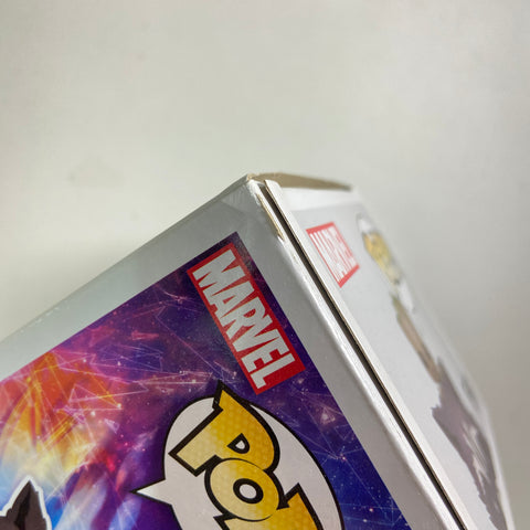 Guardians of The Galaxy - Rocket with Groot Marvel Funko Pop 211 Collector Corps