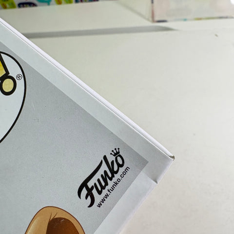 BOX FLAWS VIEW PHOTOS Nala - Lion King Disney Funko Pop 497 Vinyl Figure (11.4 Cm L × 8.9 Cm W × 15.9 Cm H)
