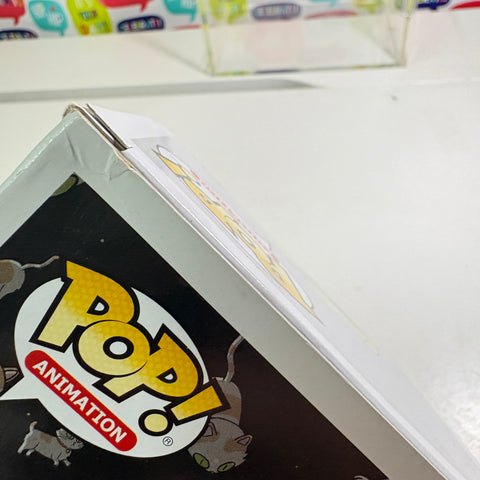 BOX FLAWS VIEW PHOTOS Western Rick - Rick and Morty Funko Pop 363 Vinyl Figure (11.4 Cm L × 8.9 Cm W × 15.9 Cm H)