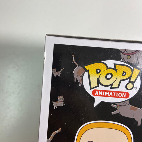 Rick and Morty - Summer Funko Pop 303