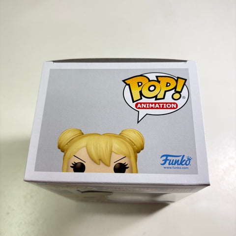 Lucy - Fairy Tail Funko Pop 2286 Vinyl Figure (15.9 × 11.4 × 8.9)