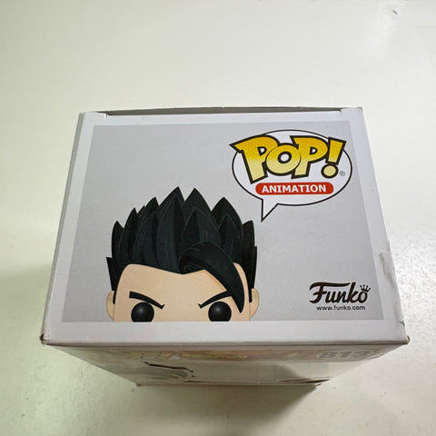 BOX DAMAGE VIEW PHOTOS Gohan Mystic - Dragon Ball Z Funko Pop 813 Vinyl Figure (11.4 Cm L × 8.9 Cm W × 15.9 Cm H)