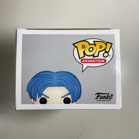 Dragon Ball Z - Trunks (Future) Funko Pop 313