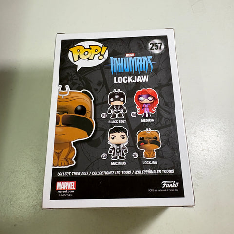 Lockjaw - Marvel Funko Pop 257 Vinyl Figure (11.4 Cm L × 8.9 Cm W × 15.9 Cm H)