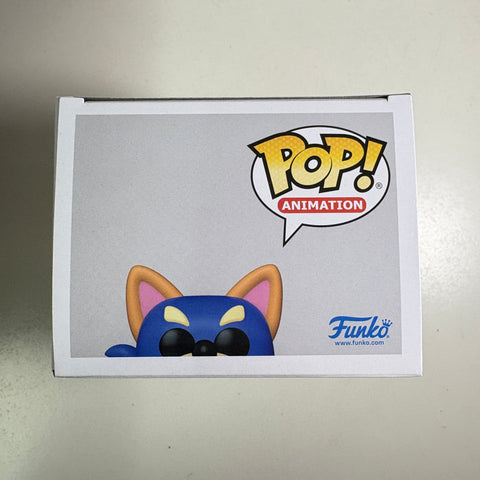 Dora The Explorer - Swiper Funko Pop 2005