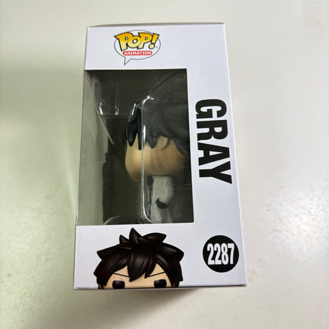 Gray Fullbuster - Fairy Tail Funko Pop 2287 Vinyl Figure (11.4 Cm L × 8.9 Cm W × 15.9 Cm H)
