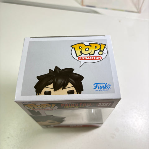 Gray Fullbuster - Fairy Tail Funko Pop 2287 Vinyl Figure (11.4 Cm L × 8.9 Cm W × 15.9 Cm H)