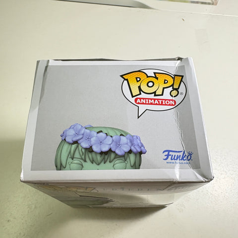 BOX DAMAGE VIEW PHOTOS Himmel CHASE - Frieren Anime Funko Pop Vinyl Figure (11.4 Cm L × 8.9 Cm W × 15.9 Cm H)
