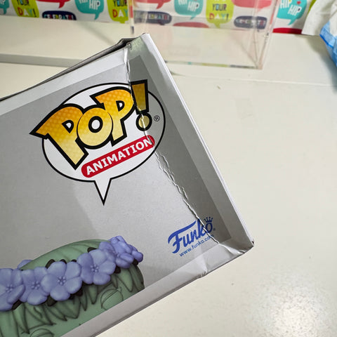 BOX DAMAGE VIEW PHOTOS Himmel CHASE - Frieren Anime Funko Pop Vinyl Figure (11.4 Cm L × 8.9 Cm W × 15.9 Cm H)