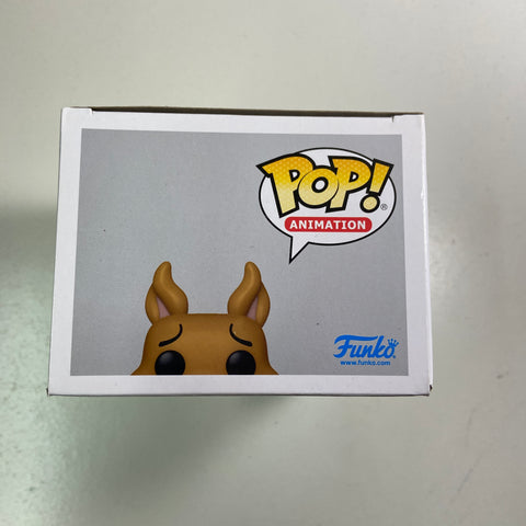 Scooby Doo - Scooby Ruh-Oh Funko Pop 1045