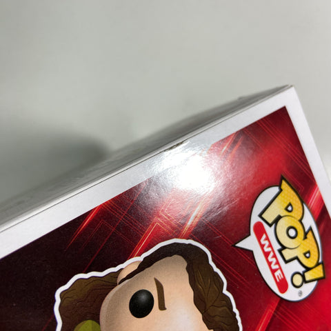 Jake The Snake Roberts (Chase) - WWE Funko Pop 51