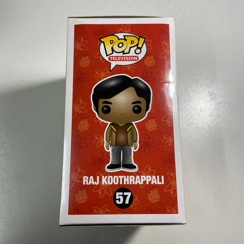 The Big Bang Theory - Raj Koothrappali Funko Pop 57