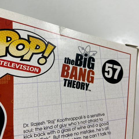 The Big Bang Theory - Raj Koothrappali Funko Pop 57
