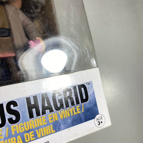 Harry Potter - Hagrid Funko Pop 58
