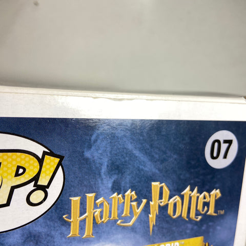 Harry Potter - Hagrid Funko Pop 58
